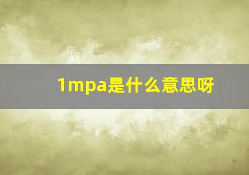 1mpa是什么意思呀