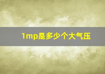 1mp是多少个大气压