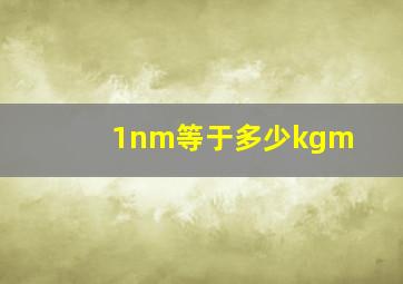 1nm等于多少kgm