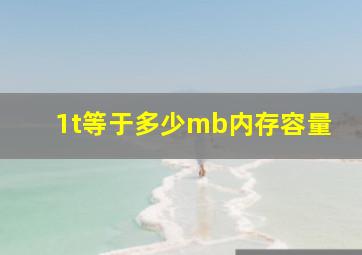 1t等于多少mb内存容量