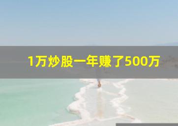 1万炒股一年赚了500万