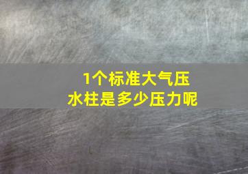 1个标准大气压水柱是多少压力呢