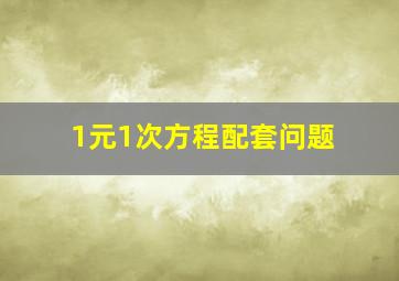 1元1次方程配套问题