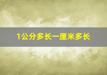 1公分多长一厘米多长