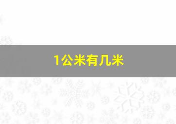 1公米有几米