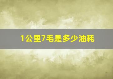 1公里7毛是多少油耗