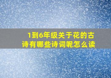 1到6年级关于花的古诗有哪些诗词呢怎么读