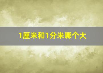 1厘米和1分米哪个大