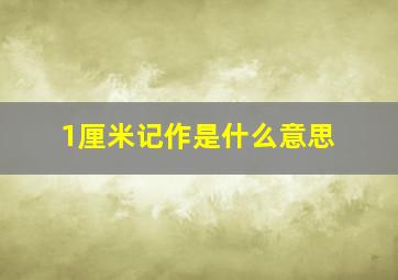 1厘米记作是什么意思