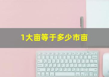 1大亩等于多少市亩