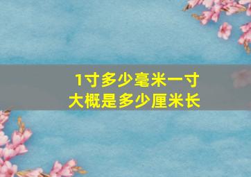 1寸多少毫米一寸大概是多少厘米长