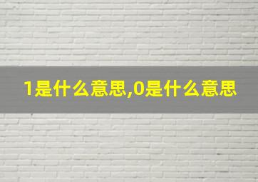 1是什么意思,0是什么意思