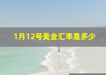 1月12号美金汇率是多少