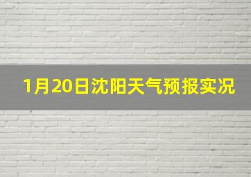 1月20日沈阳天气预报实况