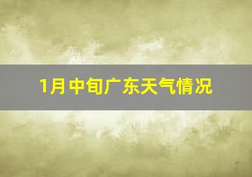 1月中旬广东天气情况