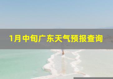 1月中旬广东天气预报查询