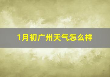 1月初广州天气怎么样