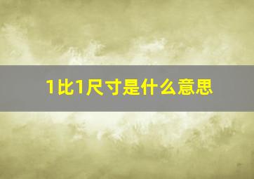 1比1尺寸是什么意思