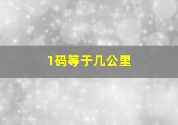 1码等于几公里