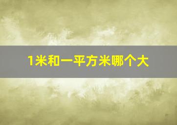 1米和一平方米哪个大