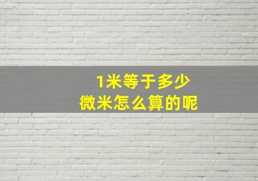 1米等于多少微米怎么算的呢