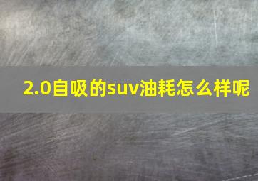 2.0自吸的suv油耗怎么样呢