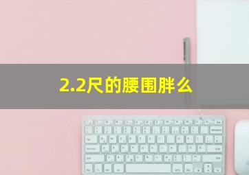 2.2尺的腰围胖么