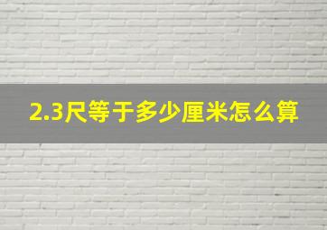 2.3尺等于多少厘米怎么算