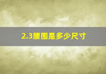 2.3腰围是多少尺寸