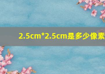 2.5cm*2.5cm是多少像素