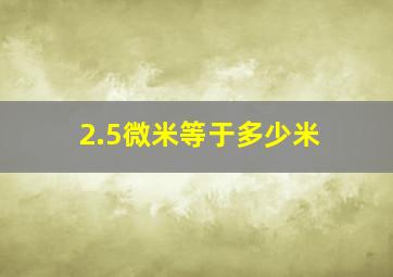 2.5微米等于多少米