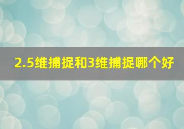 2.5维捕捉和3维捕捉哪个好