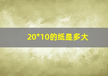 20*10的纸是多大