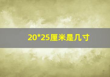 20*25厘米是几寸