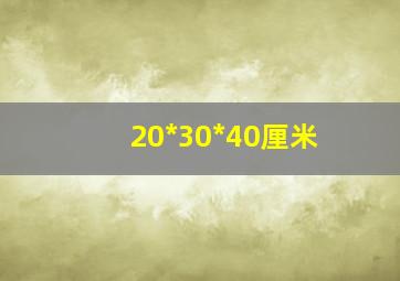 20*30*40厘米