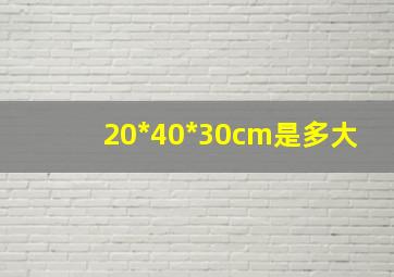 20*40*30cm是多大