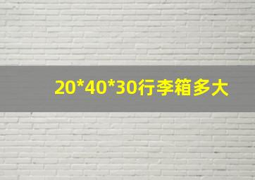 20*40*30行李箱多大