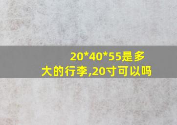 20*40*55是多大的行李,20寸可以吗