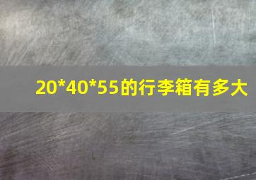 20*40*55的行李箱有多大