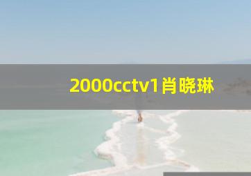 2000cctv1肖晓琳