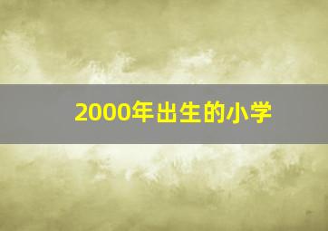 2000年出生的小学