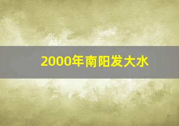 2000年南阳发大水