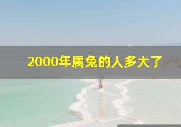 2000年属兔的人多大了