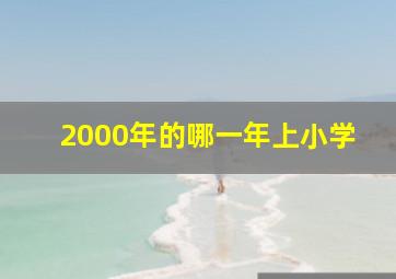 2000年的哪一年上小学