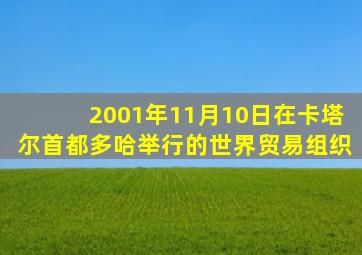 2001年11月10日在卡塔尔首都多哈举行的世界贸易组织