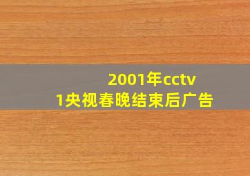 2001年cctv1央视春晚结束后广告