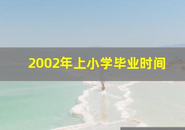 2002年上小学毕业时间