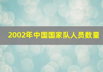 2002年中国国家队人员数量