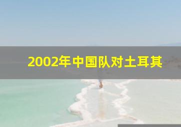 2002年中国队对土耳其