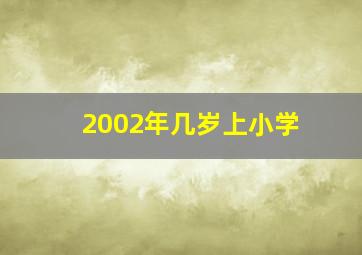 2002年几岁上小学